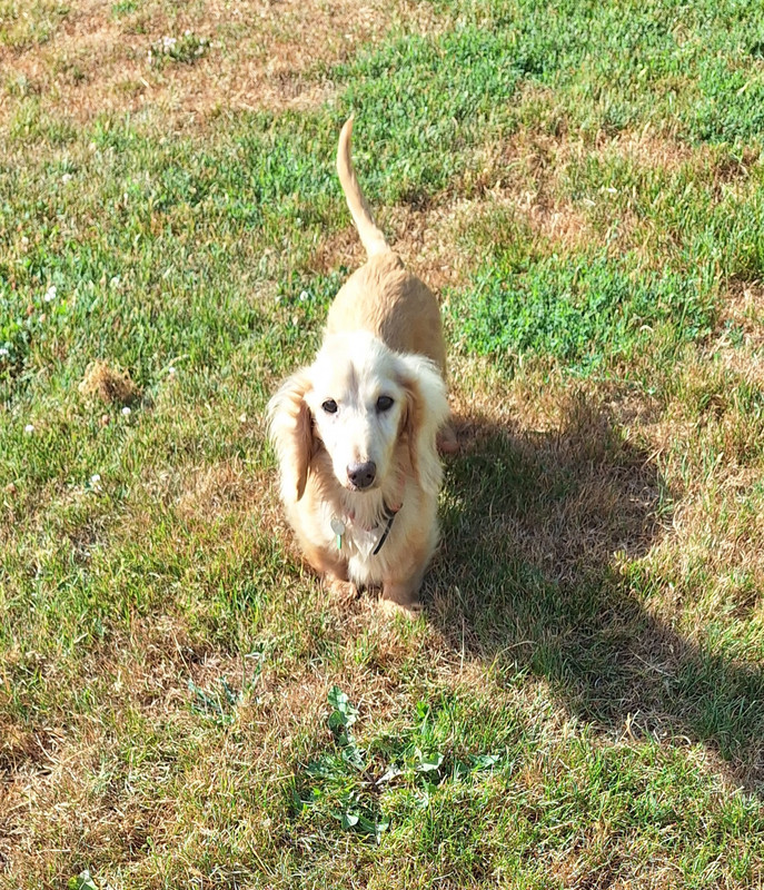 [Image: 20240814-100129.jpg]