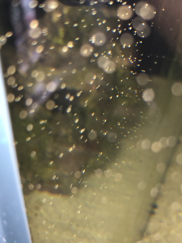 5F19F4A7-56BE-4BAF-94C2-C5DB717EFDB8