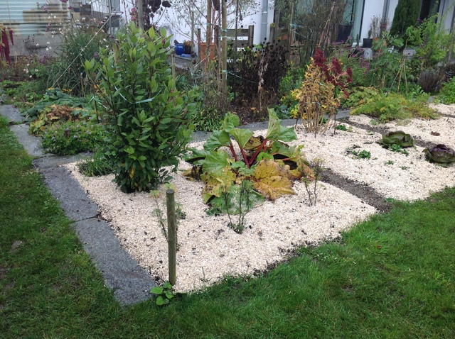 Winterdecke Westseite von Süden