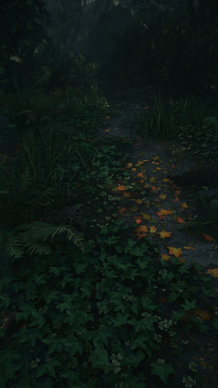 Alan Wake2 2026 06 06 16 22 39 598