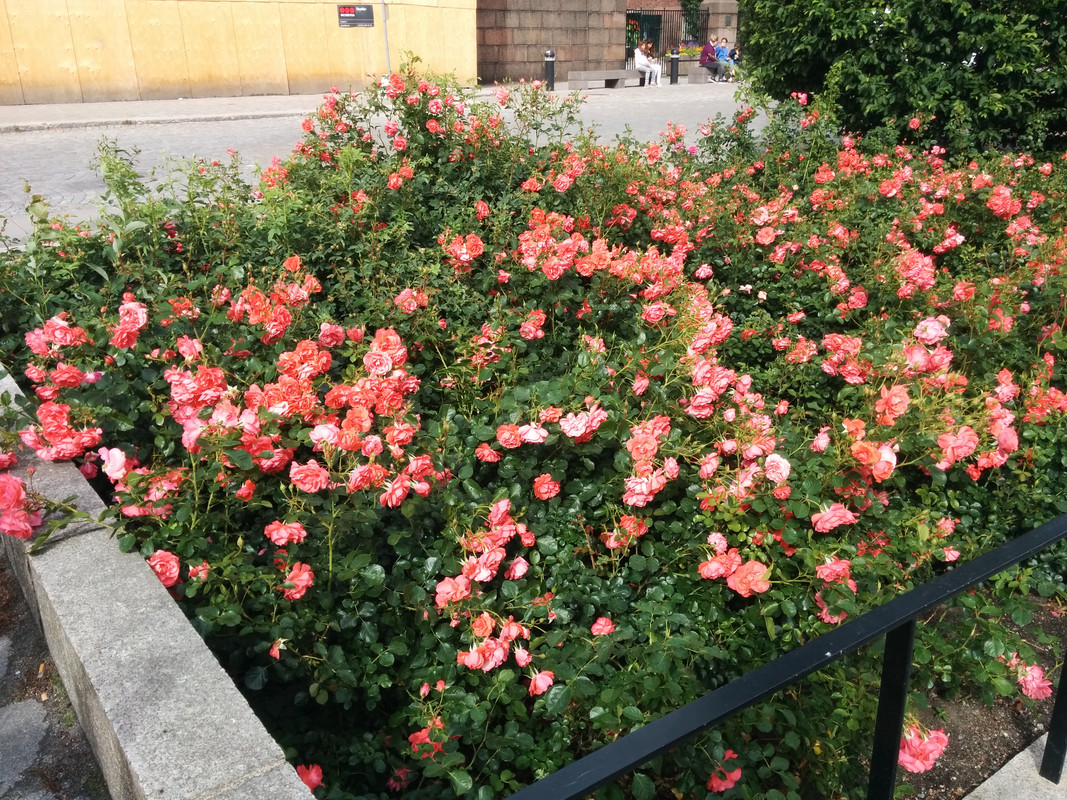 IMG_20190702_163905