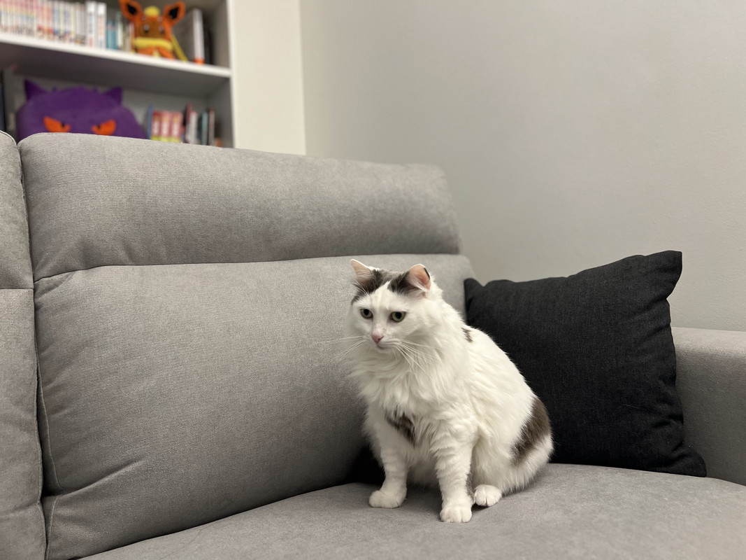 正面1 — Postimages