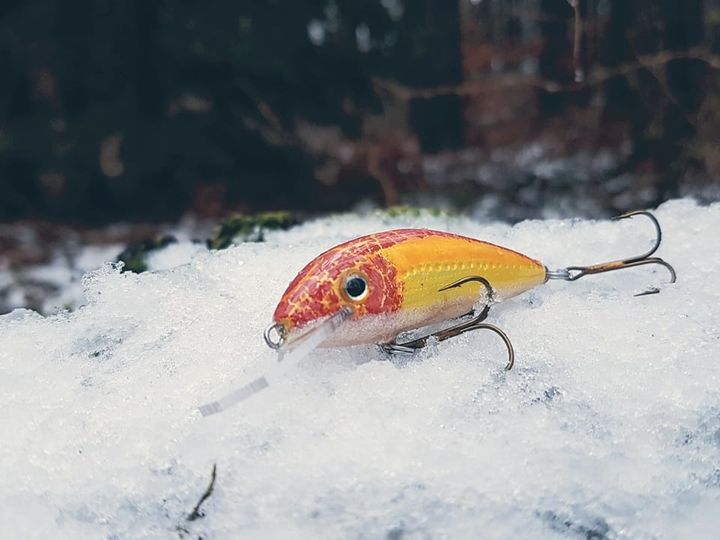 266611410-2089176184581884-7492169722729