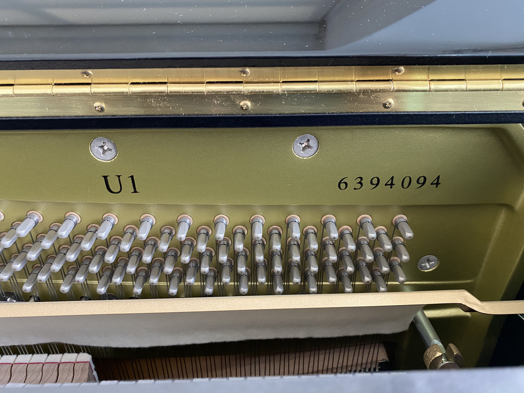 F9AA04BA-8C0D-435C-8CFB-DED5A37EE0B6