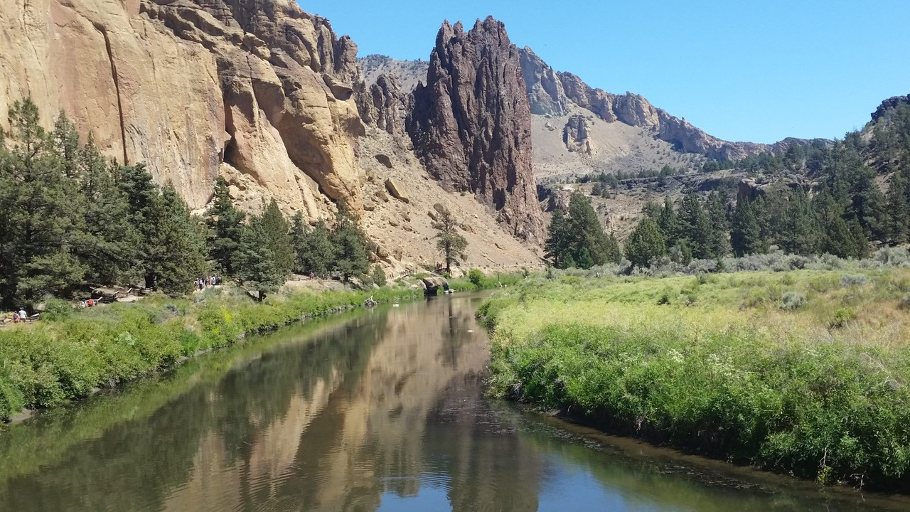 13719707_1482197565129044_7445918074972986885_o (1)