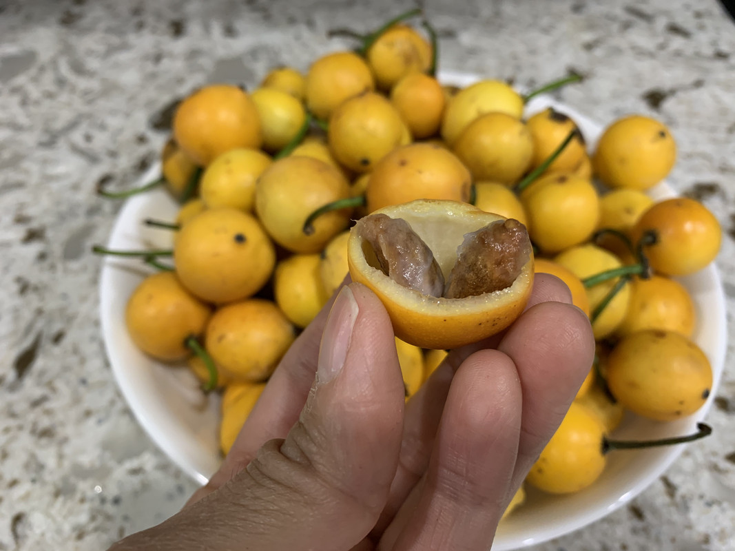 8A3C58B8-3629-4C42-98E2-8512EF16471F