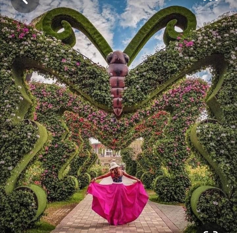 Screenshot_20230327_223138_Pinterest