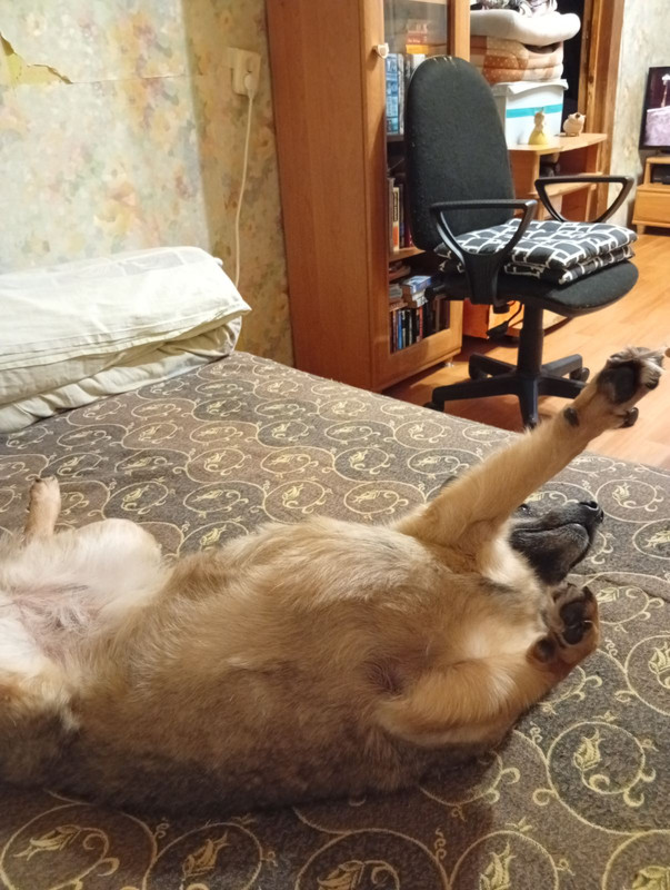 IMG a116385a31c4284a1d8f3b3b70ea2ab7 V