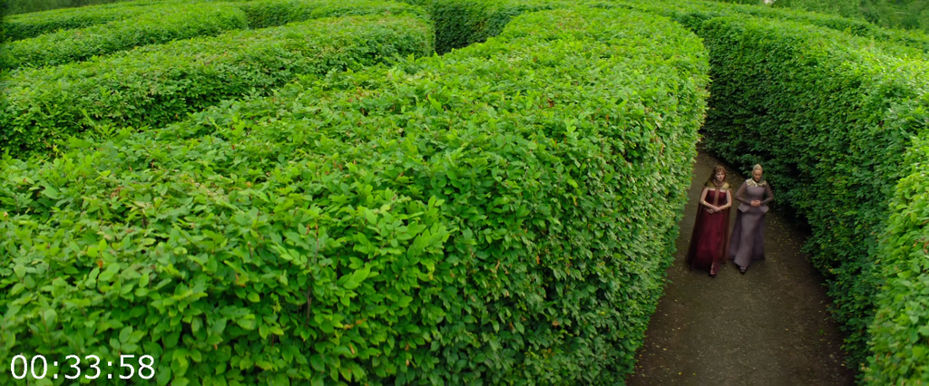 [Image: h65a5orscaj3.png]