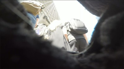 [Image: UP7175053724.jpg]