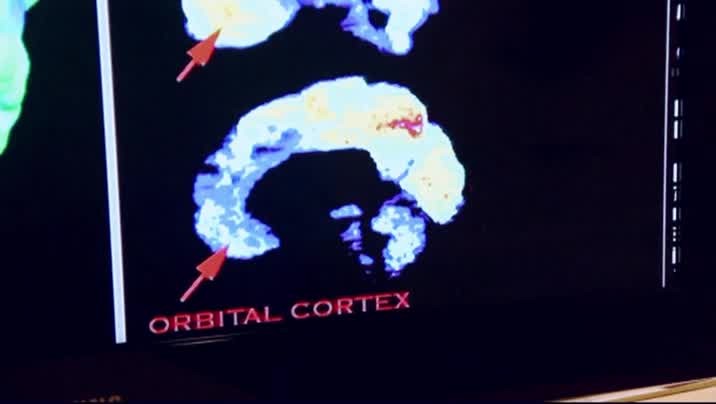 [Image: yd58m9g6sphx.jpg]