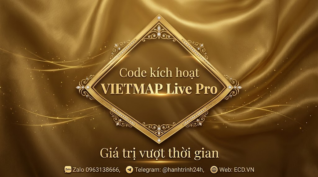 vietmap pro giá bao nhiêu