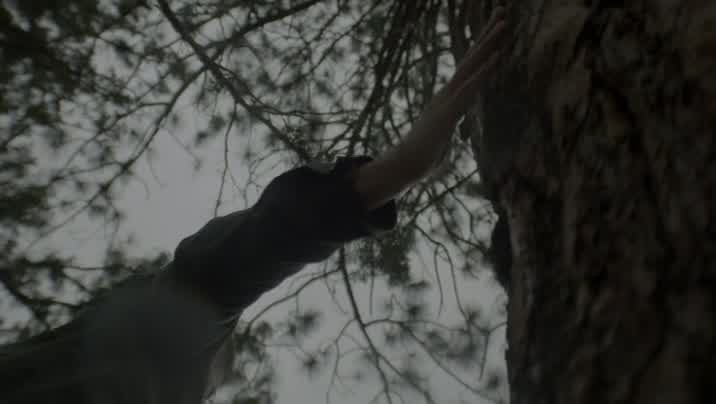 [Image: oeuhz69ex1g8.jpg]