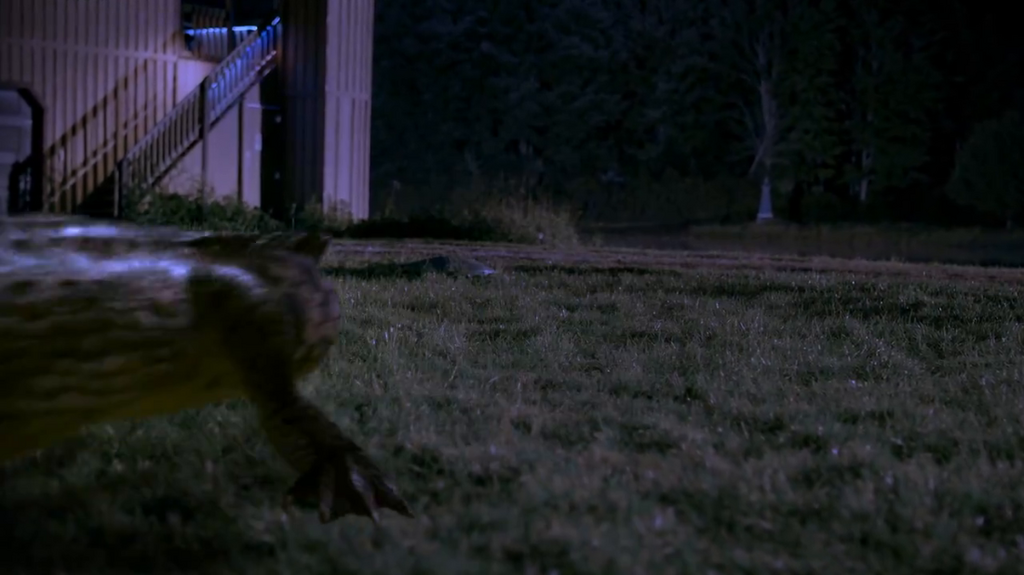 [Image: 068tokiyub6q.png]