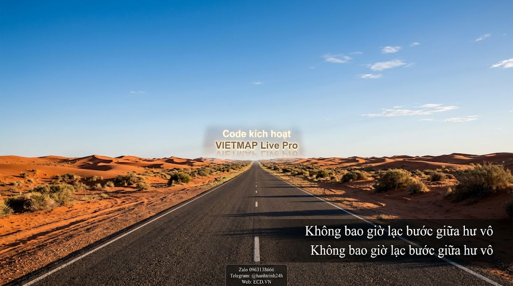 vietmap pro cho tesla