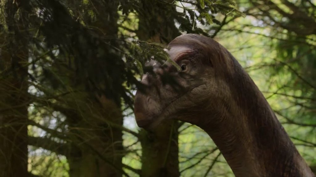 [Image: f77qpamv6sk6.jpg]