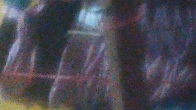 [Image: 2026051302113292118.jpg]