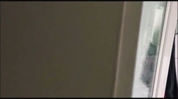 [Image: Voyeur10325140625.jpg]