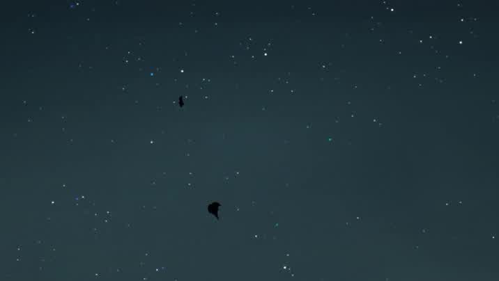 [Image: utfnm86qk77f.jpg]