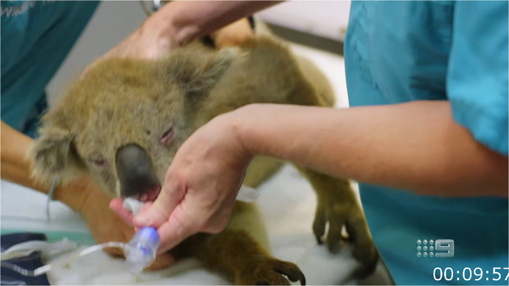 [Image: z8h2qw0pgns2.png]