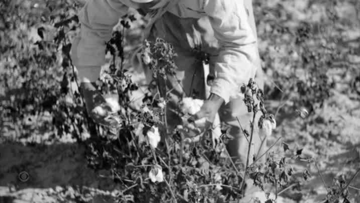 [Image: qacny5qql253.jpg]