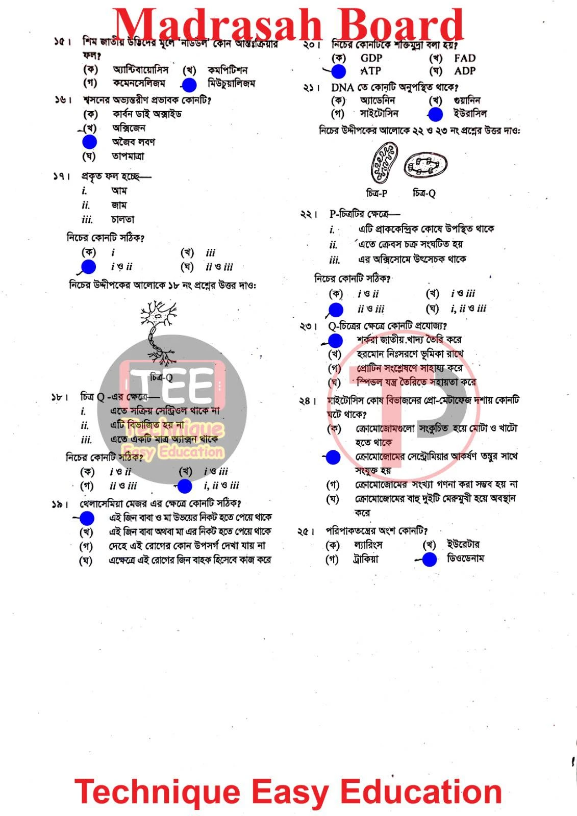 Dakhil Biology MCQ Question Answer 2026