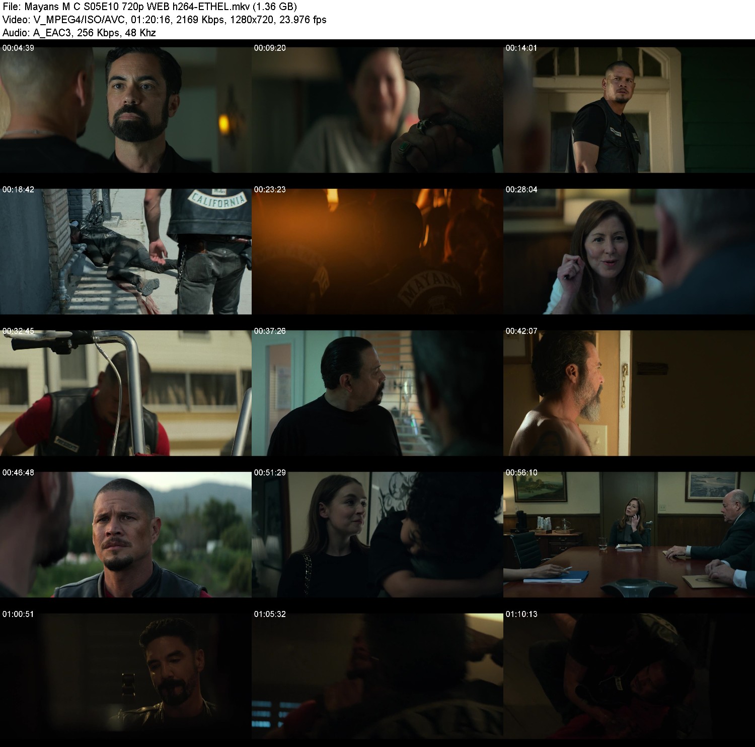 [Image: 81zcvw6gcci9.jpg]