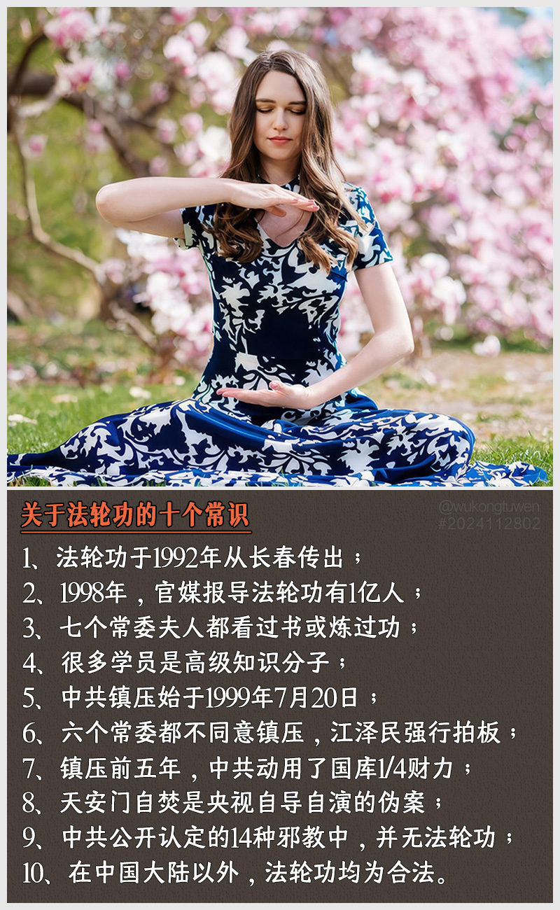 https://i.postimg.cc/kqWP0GcD/2024112802.jpg