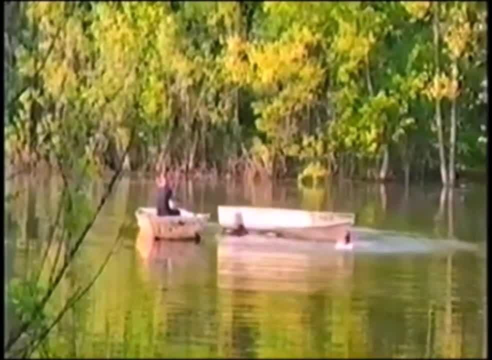 2tj4zr6i5fla.jpg