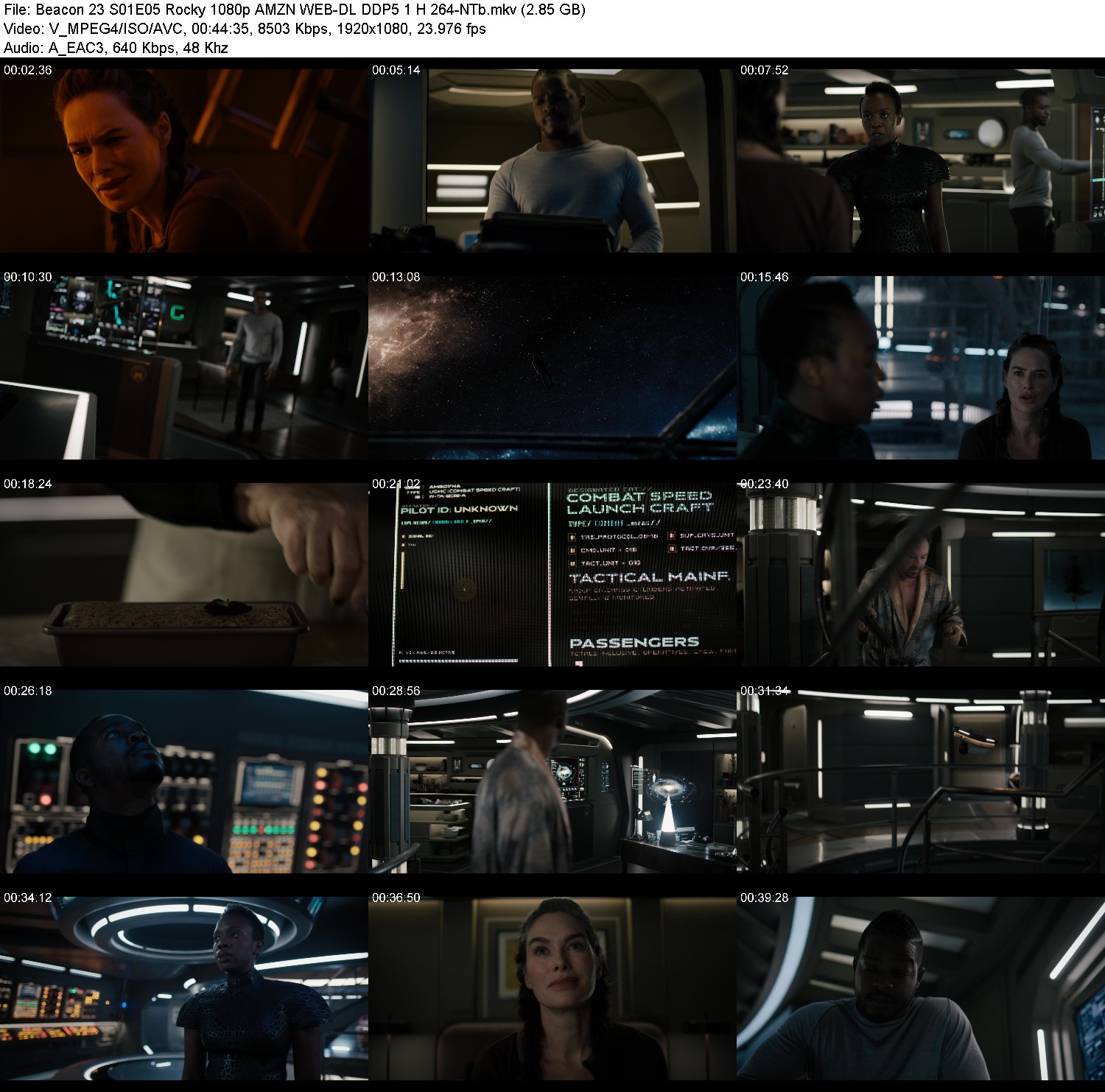 [Image: p7liy06iyps8.jpg]