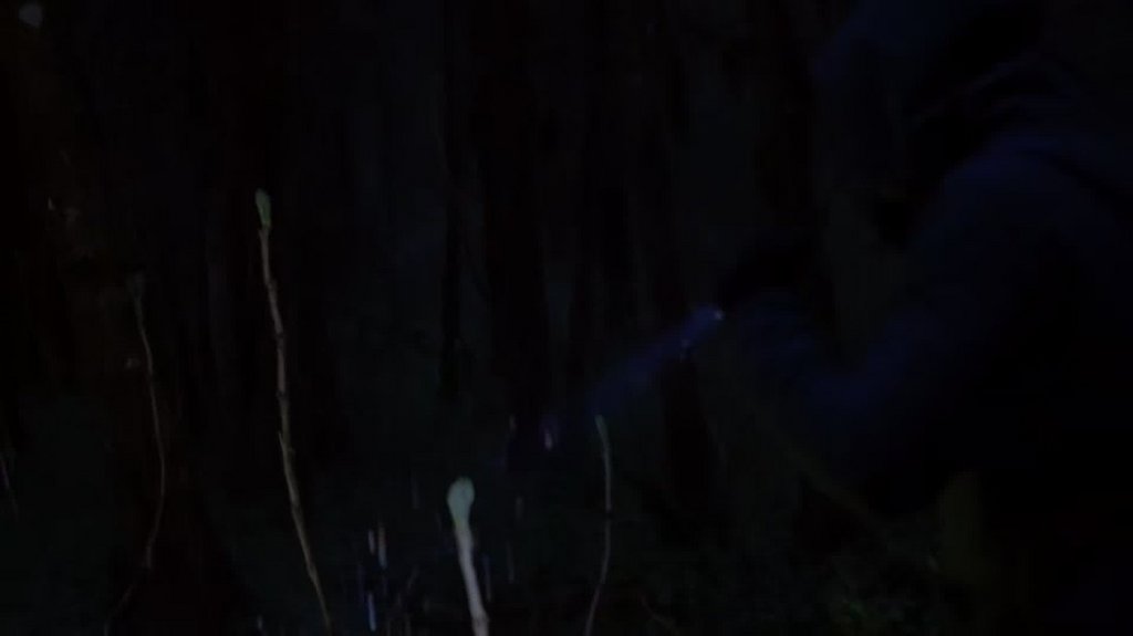 [Image: jhbg9zg6o2a4.jpg]