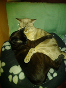 2012 03 05 21 02 02 Copy