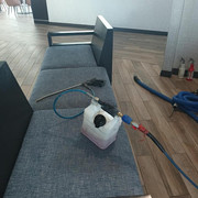 best carpet cleaning contractor near me
