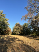 IMG-6340