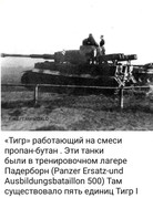 https://i.postimg.cc/m1B0Xy5M/photo-2026-05-04-02-42-27.jpg