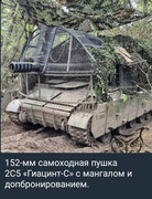 https://i.postimg.cc/m1CRdB1V/photo-2026-06-06-01-22-25.jpg