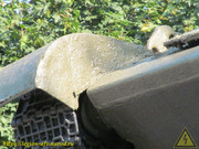 IMG-8785