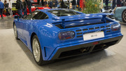 DSC08868-A.jpg