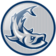 tarpons-C5C6C8-002E5F