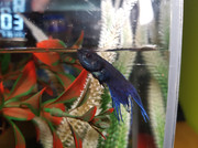 67089360_860230681016521_2692890498263154688_n