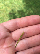 62DDC33E-E390-430B-BEE9-D45A8D0A27AC