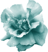 0_1499a5_66dbec79_orig