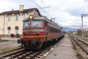 IMG-2423
