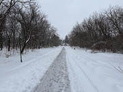 IMG-6572