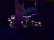 WoWScrnShot_122323_172931