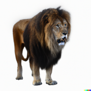 DALL-E-Photo-of-a-realistic-lion-White-background