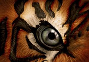 [Imagem: A0-B2-E772-5945-46-E6-8-AA2-643999-CFF980.jpg]