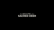 The-Killingofa-Sacred-Deer-FR-01