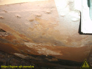 DSC09929