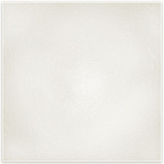 Winter-White-Papers-17
